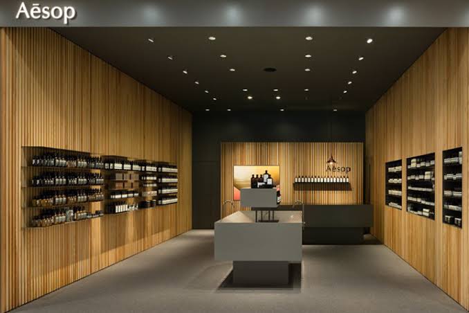 Warm wood-lined minimalist interior